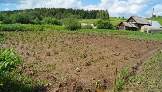 Кинделино кунгурский район фото