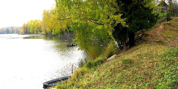 Погода в кунгуре на 3 дня