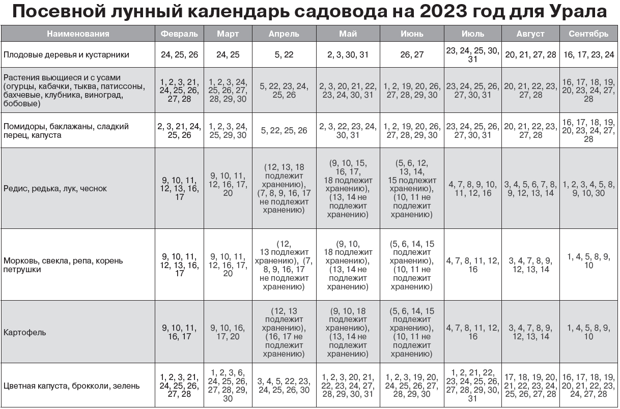 Календарь огородника на 2024 год подмосковье